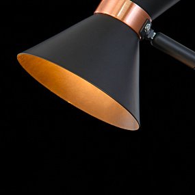 Настольная лампа Freya Izzy FR4273-TL-01-B